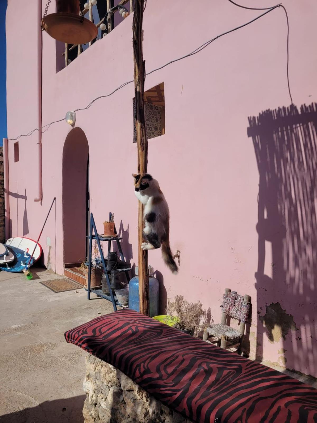 Home Surf Sidi Kaouki Exterior photo